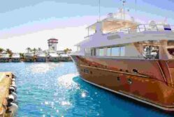 Lake View In Manhattan